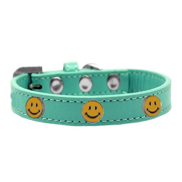 Happy Face Widget Dog CollarAqua Size 14, Mirage Pet Products, Mfr#: 631-36 AQ14